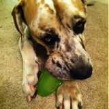 Jax