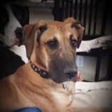 Lola