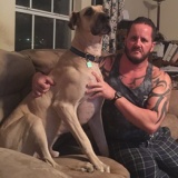 Dozer