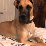 Zeus