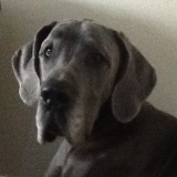 Cezar