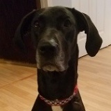 Myka