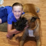 Brutus