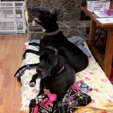 Charlotte and Eleanor