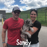 Sandy now Waffles