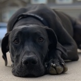 Kona
