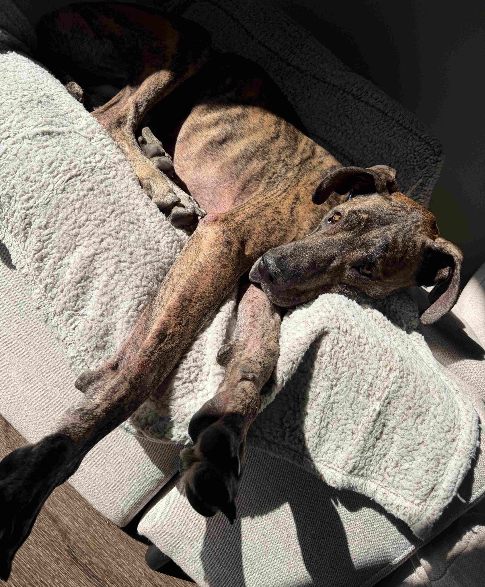 Bruce  - A